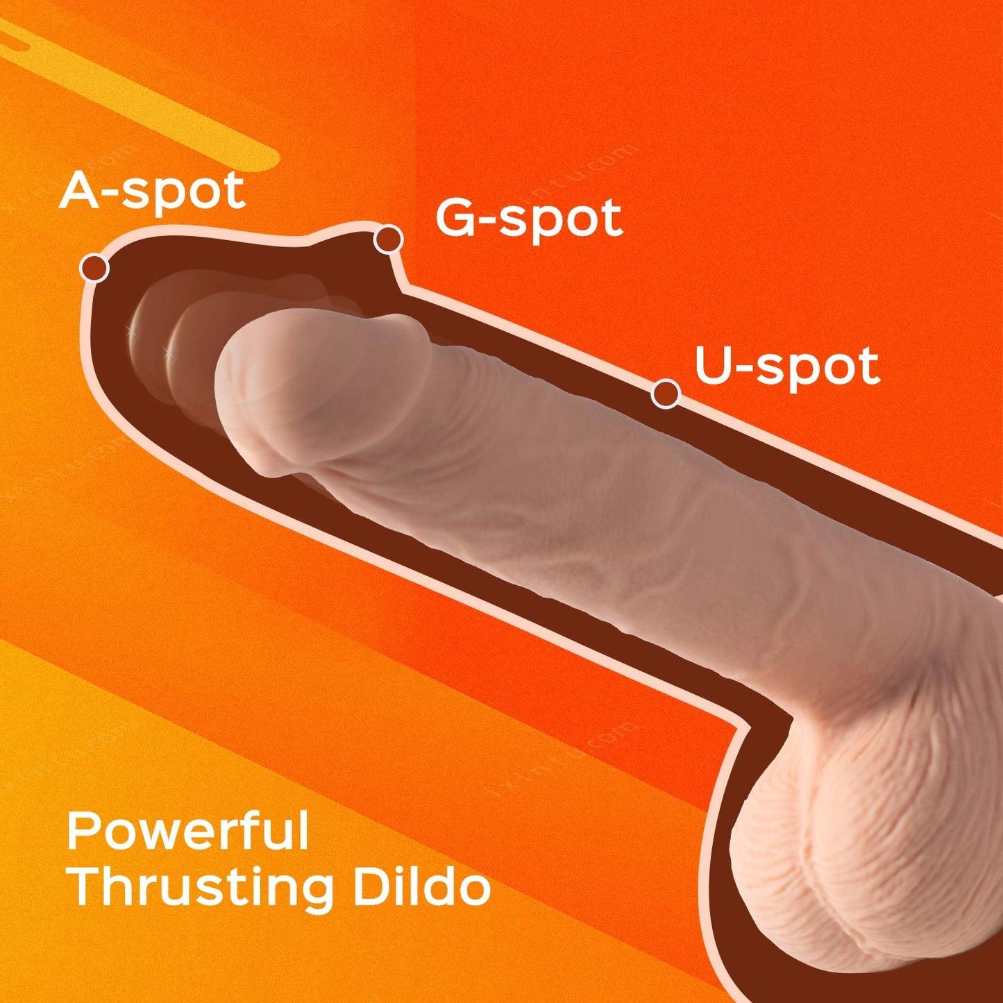 Kenzo 9.5 Inch App Controlled Thrusting Dildo - Rechargable